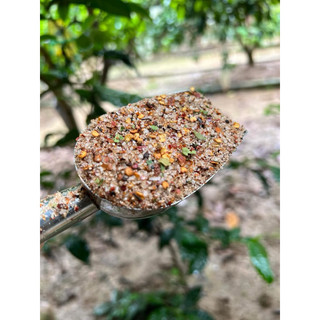 01 lọ chẳm chéo ( chẩm chéo) Tây Bắc thơm ngon đậm vị
