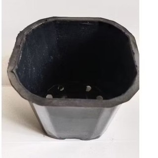 Combo 50 cái  chậu vuông đen 11cm đã qua sử dụng