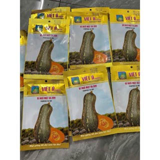 Hạt giống bí mật gói 100 hạt