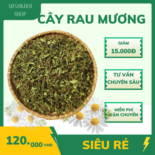 1Kg Cây Rau Mương khô nhà phơi sạch sẽ, thơm uống giảm HP dạ dày