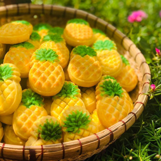  Khuôn bánh dứa Khuôn bánh trung thu khuôn lò xo 