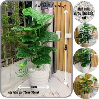 Cây giả, cây trầu bà giả, cây lá rùa cao 70cm, cây hoa giả trang trí