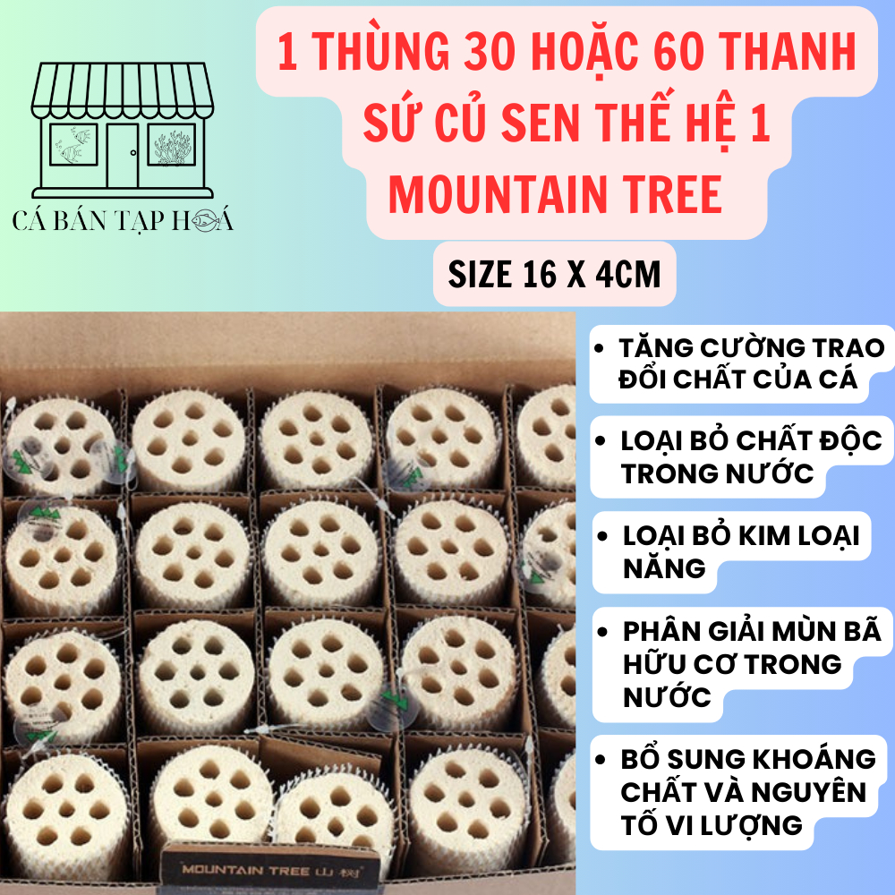 1 thùng Sứ củ sen moutain tree thế hệ 1 (30 hoặc 60 thanh)