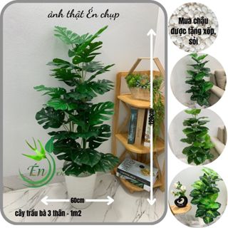 cây trầu bà giả, cây lá rùa cao 1m2, cây hoa giả trang trí