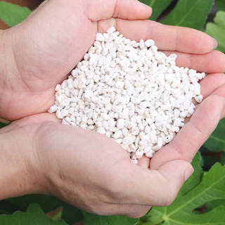 Đá Perlite ( Đá trân châu) túi 10l