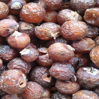 Quả bồ hòn tách hạt (1kg) kèm HDSD (hàng loại 1)