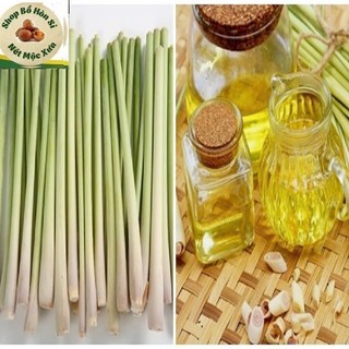 Tinh Dầu Sả JaVa 100% Thiên Nhiên Nguyên Chất