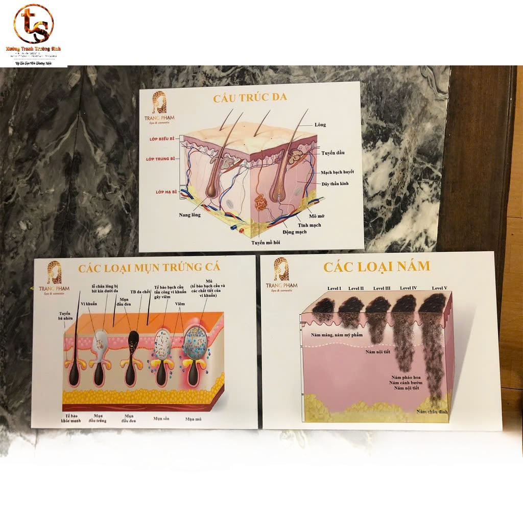 BỘ 3 TRANH CẤU TRÚC DA, Tranh Fomex dán tường 40x50cm Spa chăm sóc da mụn, tặng kèm băng dính