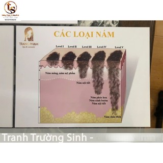 BỘ 3 TRANH CẤU TRÚC DA, Tranh Fomex dán tường 40x50cm Spa chăm sóc da mụn, tặng kèm băng dính
