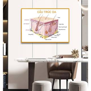 BỘ 3 TRANH CẤU TRÚC DA, Tranh Fomex dán tường 40x50cm Spa chăm sóc da mụn, tặng kèm băng dính