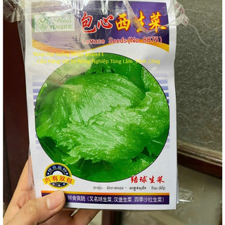 Hạt giống Xà Lách Mỹ Iceberg SIÊU GIÒN NGỌT_Rau Diếp Bắp Salad nhập khẩu Đài Loan