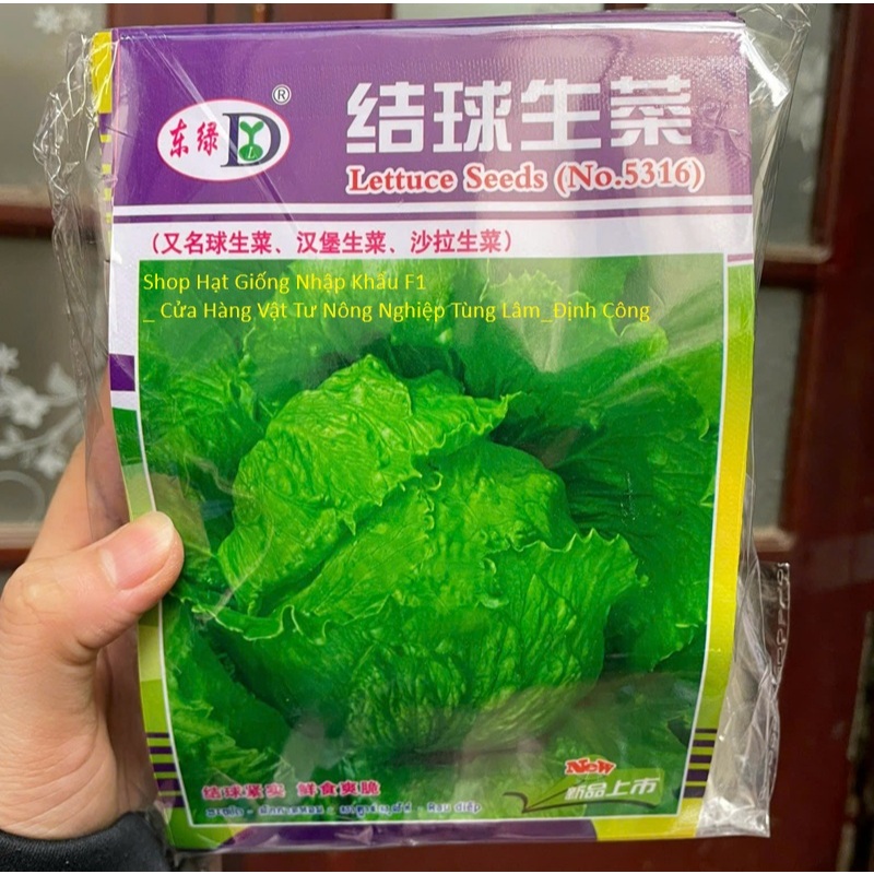 Hạt giống Xà Lách Mỹ Iceberg SIÊU GIÒN NGỌT_Rau Diếp Bắp Salad nhập khẩu Đài Loan