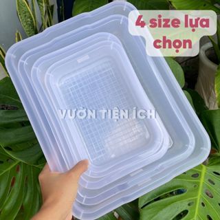 Khay Nhựa Chữ Nhật Làm Rau Câu, Thạch Topping Trà Sữa, Khay Giấy A4 Trong Suốt Đa Năng Vườn Tiện Ích