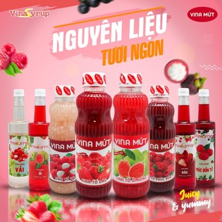 Siro Việt Quất Vinasyrup 750ml