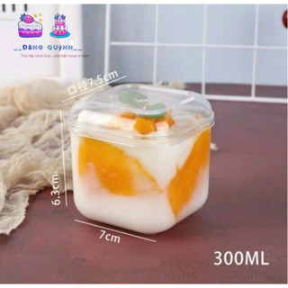 PHỤ KIỆN BÁNH_10 HỘP MICA 2013 ĐỰNG BÁNH LẠNH, MOUSSE, TIRAMISU