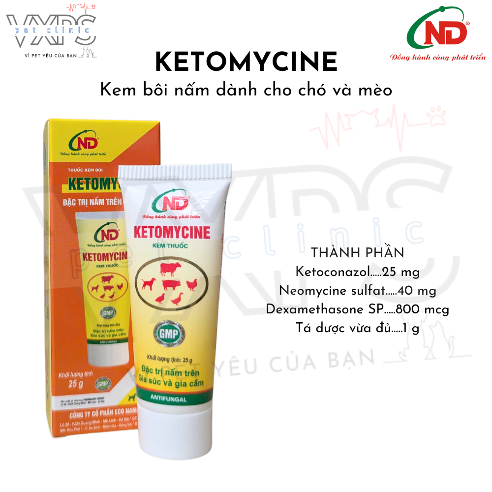 Ketomycine kem bôi nấm dành cho chó và mèo