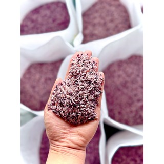 Gạo Nương Tím Điện Biên