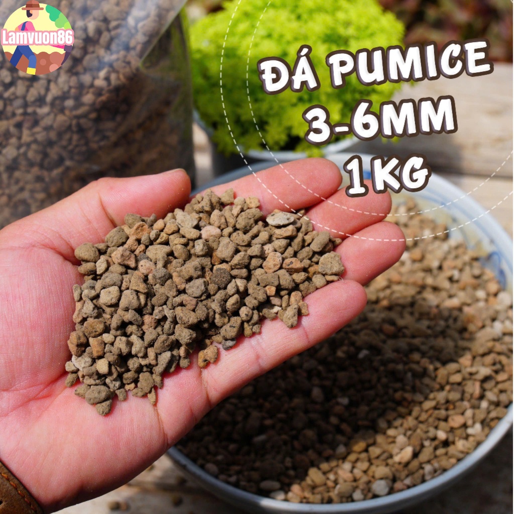 Đá bọt Pumice Indonesia 3-6mm, [HÀNG ĐẸP] cho hoa hồng, hoa lan, sen đá, xương rồng