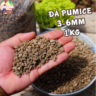 Đá bọt Pumice Indonesia 3-6mm, [HÀNG ĐẸP] cho hoa hồng, hoa lan, sen đá, xương rồng