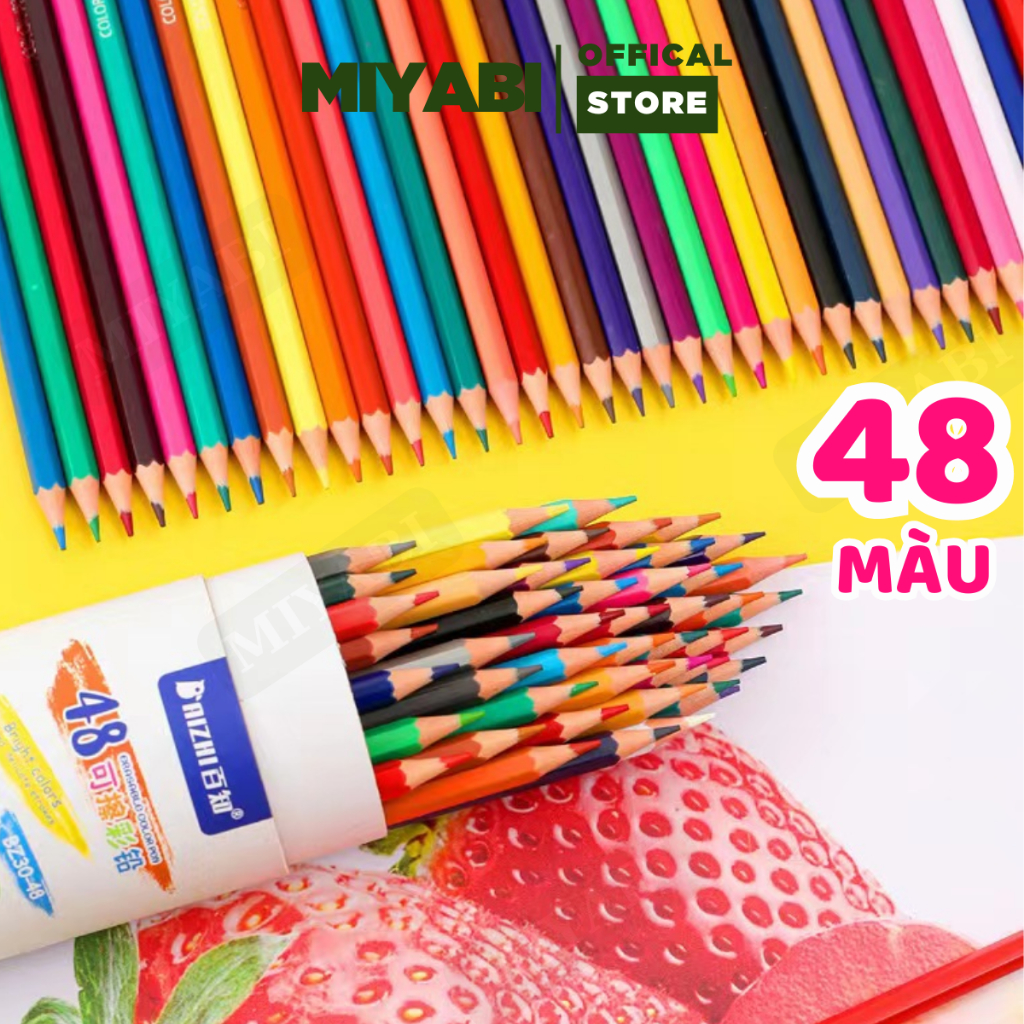 Bút chì màu gốc dầu dạng cốc 12/24/36/48 màu sắc tươi sáng, bút chì màu cho bé an toàn sử dụng