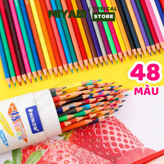 Bút chì màu gốc dầu dạng cốc 12/24/36/48 màu sắc tươi sáng, bút chì màu cho bé an toàn sử dụng
