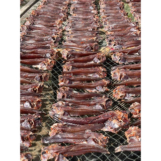Khô cá thòi lòi 3nắng. khay 500g( giao hỏa tốc