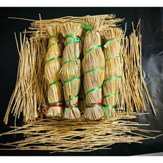  COMBO 5 CÂY TRÉ BÓ RƠM - ĐẶC SẢN BÌNH ĐỊNH 