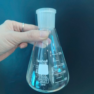 [Duran Biohall Đức] Bình tam giác 100ml 250ml 500ml 1000ml CỔ NHÁM 29/32, 24/29