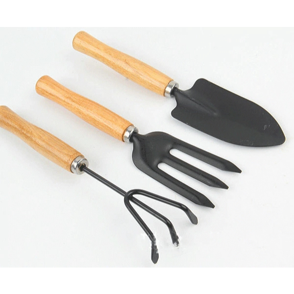 Bộ dụng cụ làm vườn 3 món cán gỗ 1 bay + 1 cào + 1 chỉa ba