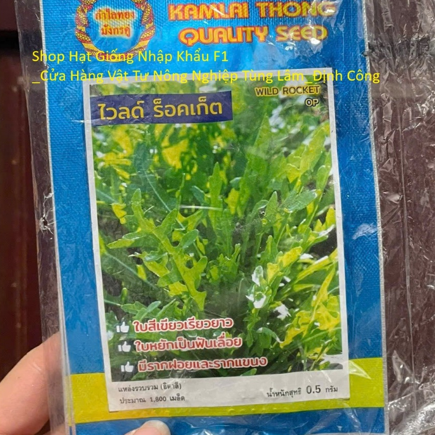 Hạt giống rau Cải Wild Rocket (Rau xà lách arugula) nhập Thái Lan nguyên gói