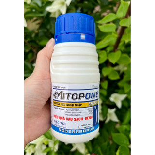 THUỐC TRỪ BỆNH MITOPONE 390SC CHAI 240ML(Azoxystrobin 210g/l + Difenoconazole 130g/l + Hexaconazole 50g/l)TRỪ NẤM BỆNH