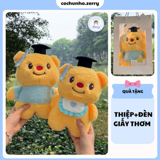 Gấu bông tốt nghiệp cao 25cm quà tặng tốt nghiệp cho nam nữ dễ thương