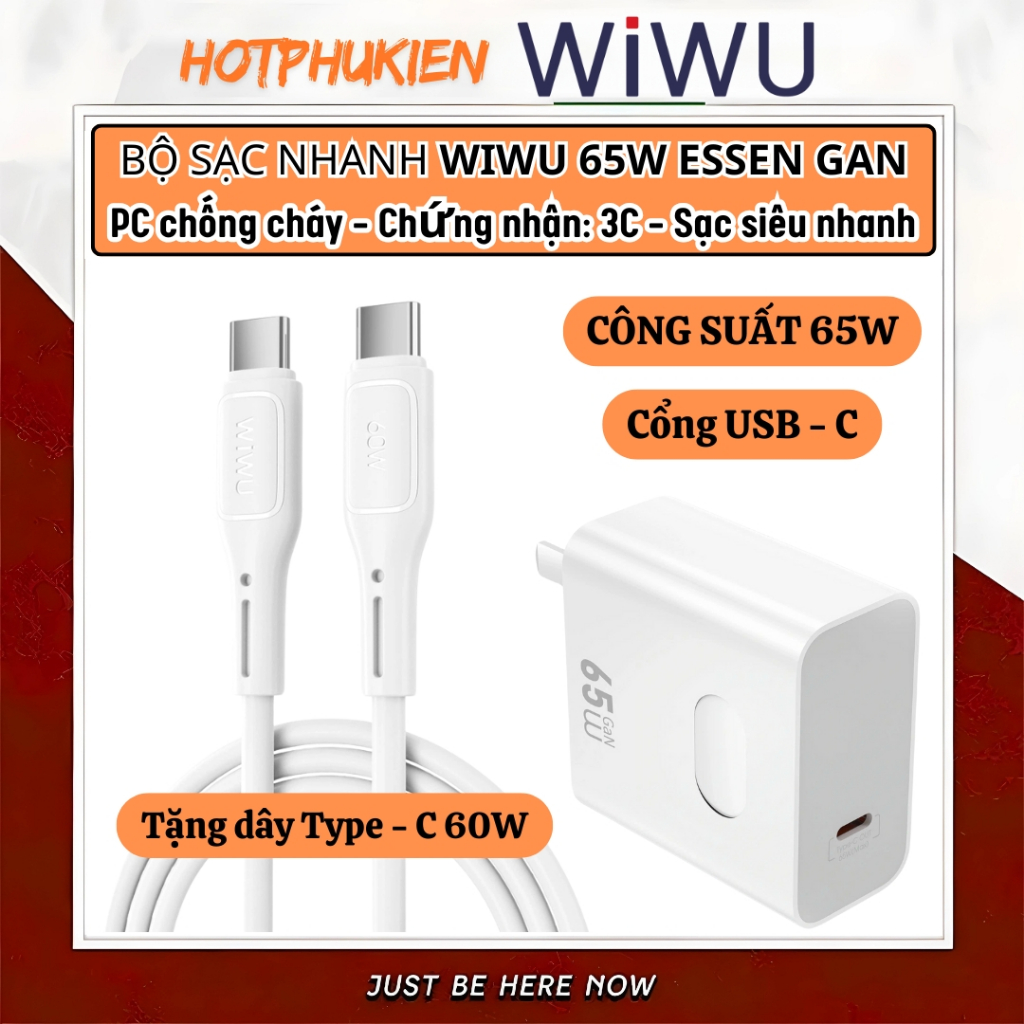 Bộ cóc củ dây sạc nhanh 65W USB C PPS chống cháy hiệu WIWU GAN ESSEN Fast Charger iP16 15 14 13 12 1