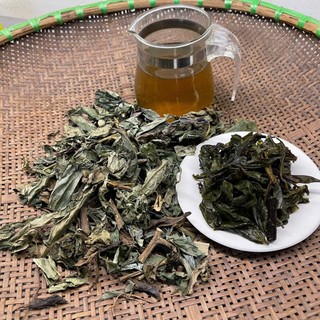 Cây bầu đất tím rừng khô tự nhiên