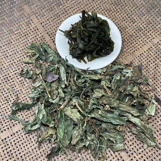Cây bầu đất tím rừng khô tự nhiên
