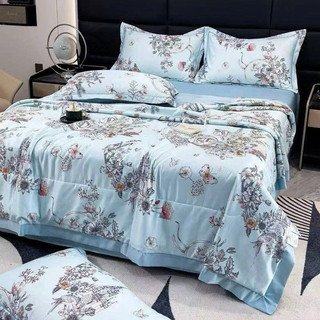 Set Chăn Ga Gối Lụa Thái Phi Bóng “ Chăn Trần Hè”