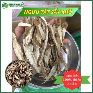 Ngưu tất khô sấy khô - Hàng chuẩn thảo dược Tấn Phát