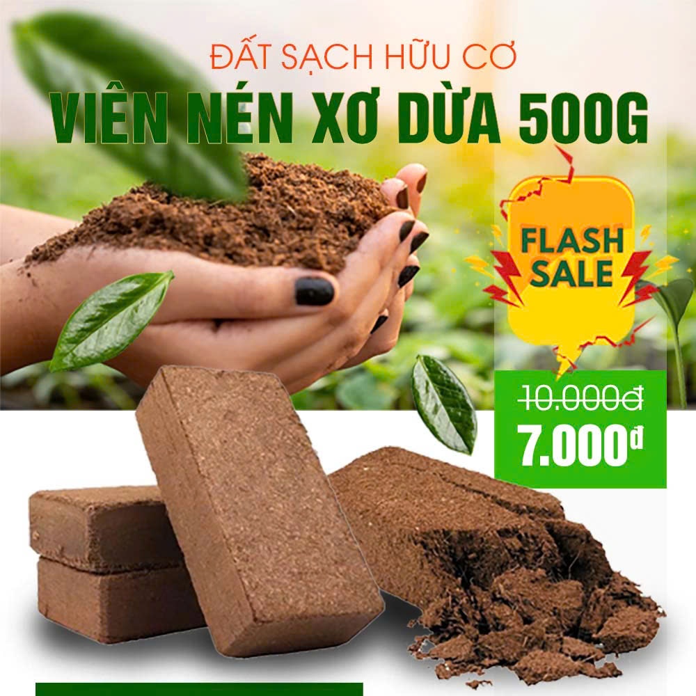   Mua 10 tặng 2  Viên Nén Xơ Dừa - Đất Sạch Hữu Cơ Dùng Cho Rau củ sạch Hoa Cây Cảnh Ươm Hạt Giâm 