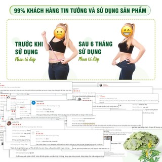 Phan tả diệp 1kg, lá phan tả diệp khô, sạch, không vụn, không lẫn tạp chất - Chợ Thảo Dược Việt