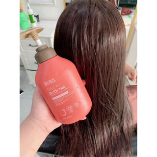 Combo Gội Xả Bưởi Trà Cỏ Cây Hoa Lá 350g Phục Hồi Tóc Hư Tổn