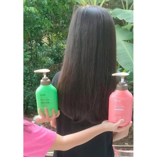 Combo Gội Xả Bưởi Trà Cỏ Cây Hoa Lá 350g Phục Hồi Tóc Hư Tổn