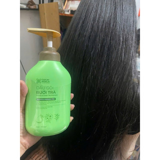 Combo Gội Xả Bưởi Trà Cỏ Cây Hoa Lá 350g Phục Hồi Tóc Hư Tổn