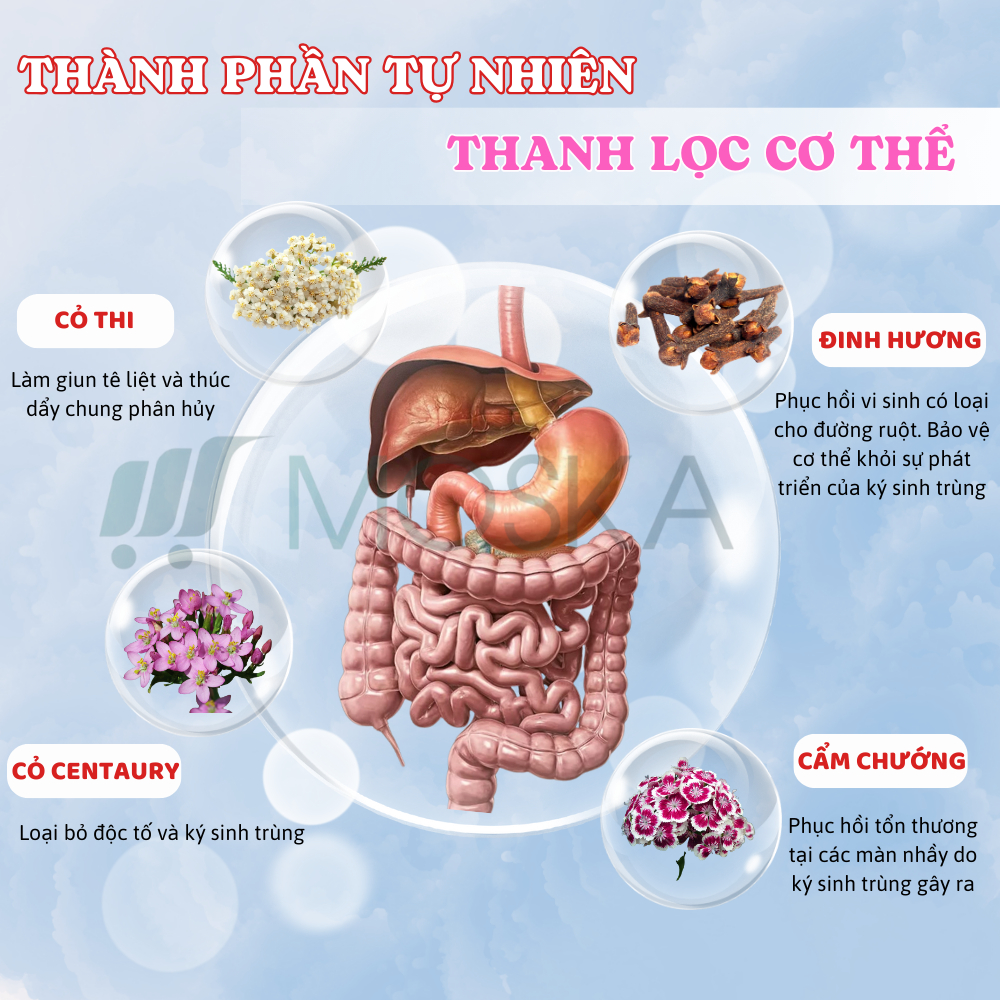 Viên Uống Detoxic Nga: Thảo Dược Giúp Diệt Ký Sinh Trùng, Loại Bỏ Giun Sán, Cải Thiện Hôi Miệng Thanh Lọc Cơ Thể | MOSKA