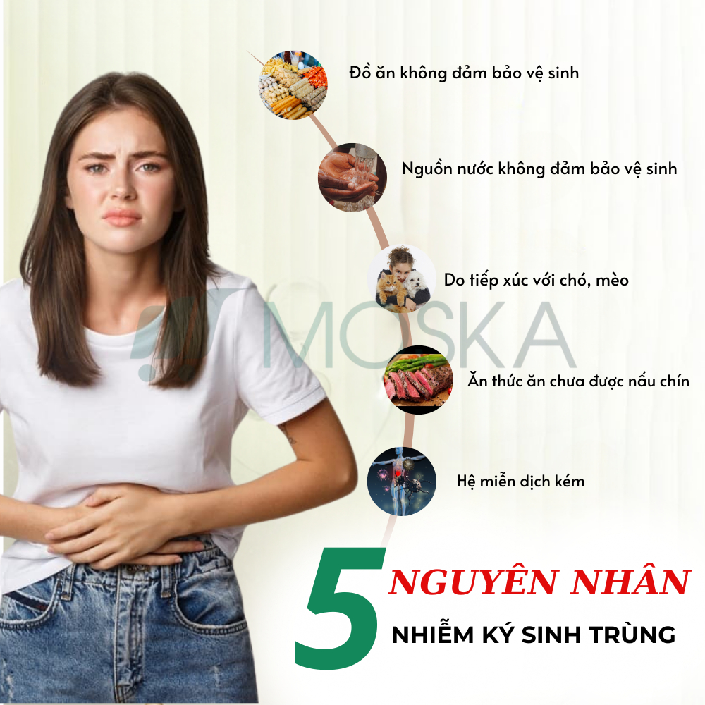 Viên Uống Detoxic Nga: Thảo Dược Giúp Diệt Ký Sinh Trùng, Loại Bỏ Giun Sán, Cải Thiện Hôi Miệng Thanh Lọc Cơ Thể | MOSKA