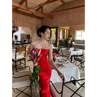 APRICOT SILK DRESS HEALING | Đầm lụa dài