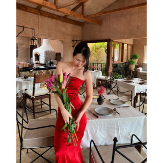 APRICOT SILK DRESS HEALING | Đầm lụa dài