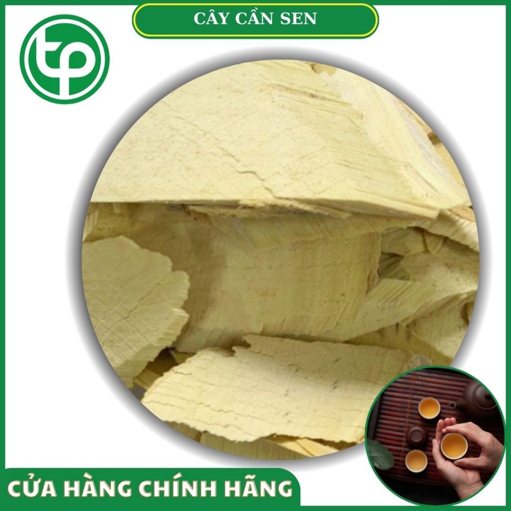 Cây cần sen khô - Tấn Phát