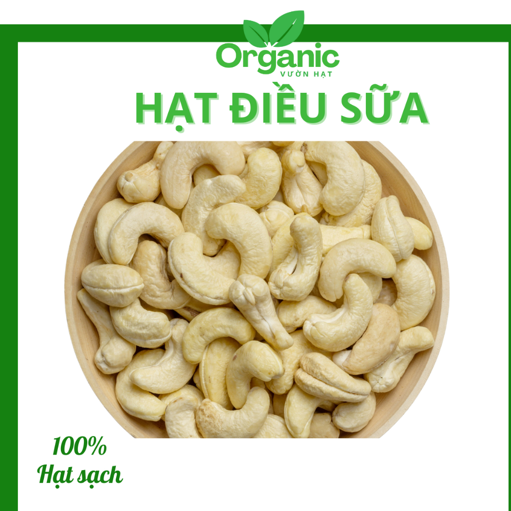 Hạt điều tươi sống bể đôi làm sữa, hạt điều sữa tốt cho sức khỏe, mẹ bầu và em bé