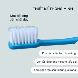 Bàn Chải Đánh Răng Compact Hàn Quốc Cao Cấp Làm Sạch Răng Miệng Hiệu Quả