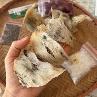  20gr Yến Tổ Thô Khánh Hòa Tổ Yến Thô Bể Vỡ Téc Nhẹ + tặng nhíp táo đỏ đường phèn hạt chia 